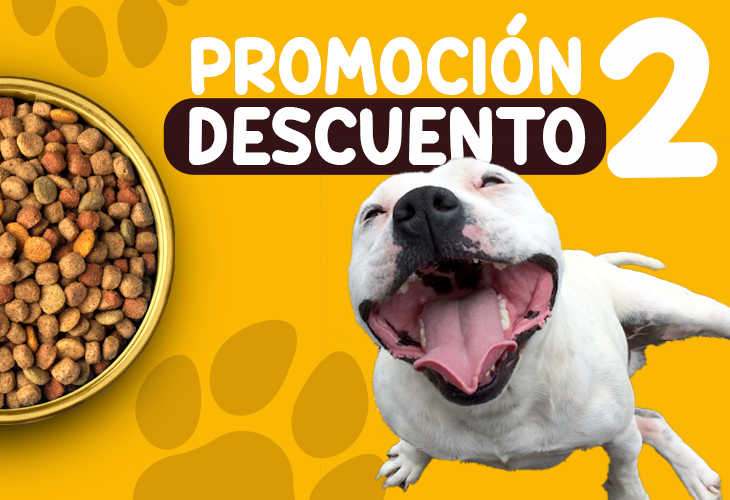 PROMOCIÓN DE VERANO 2025-II